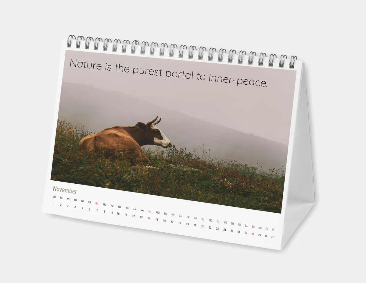 Tischkalender mit eigenem Foto und Sprüchen oder Zitaten